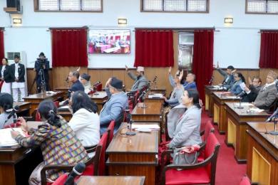 राष्ट्रिय सभाबाट तीन वटा अध्यादेश स्वीकृत
